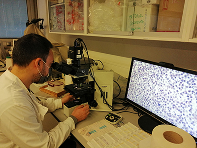 Laboratory